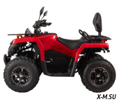 Квадроцикл Bizon YK250 LUX EFI