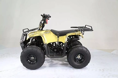 Квадроцикл MOTOLAND (МОТОЛЕНД) 110 RIDER